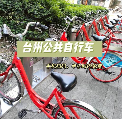 2025新澳门正版免费挂牌灯牌和多地公共自行车退场与多地公共自行车退场怎么办