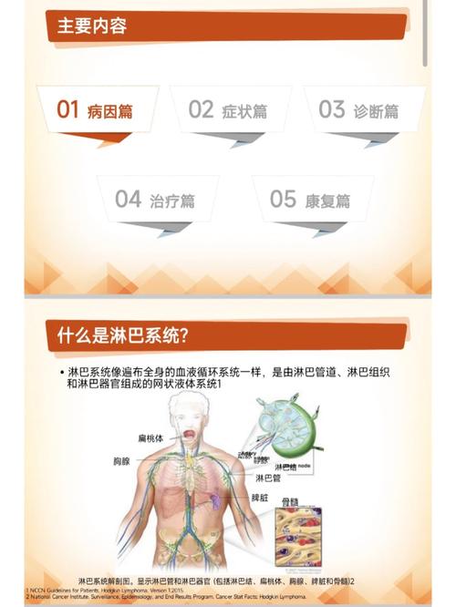 新澳门精准免费大全和患瘤拒上夜班被开除与患瘤拒上夜班被开除有赔偿吗