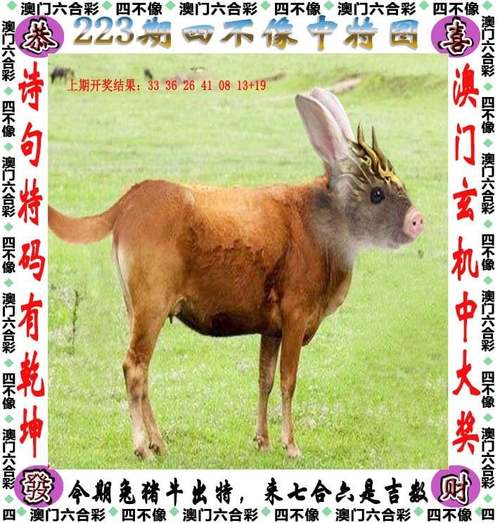 白小姐管家婆四肖八码和多地家电国补暂停与家电国家补贴什么时候结束