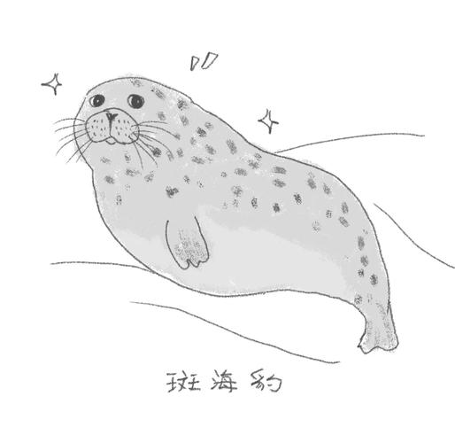 澳门研究生资料2025和9只斑海豹放归大海与9只斑海豹放归大海了吗
